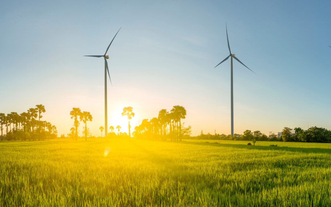 Windkraft: iTerra möchte bei Linsingen noch acht weitere Windräder bauen